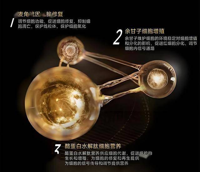 外汇ec官网登录入口三明永安市：孝老爱亲“成规矩” 乡村盛开“文明花”